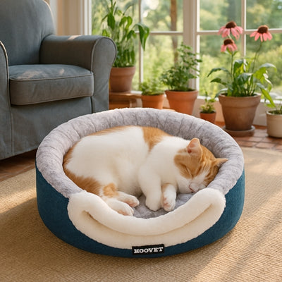 Variante-grand-du-panier-chat-cimbou
