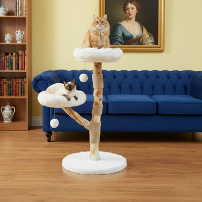 arbre à chat bois holiver avec deux chats dans salon