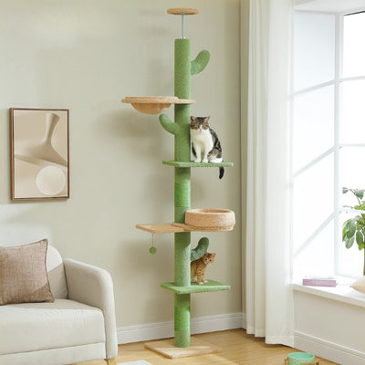 arbre-a-chats-gental-cactus