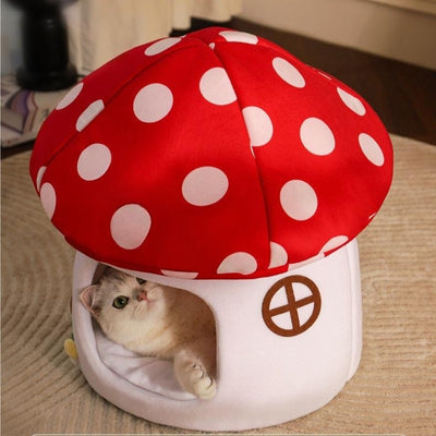 chat niche chamrou avec chat dedans observant