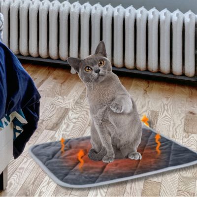 couchage-pour-chat-auto-chauffant-chat-se-réchauffant-sur-tapis
