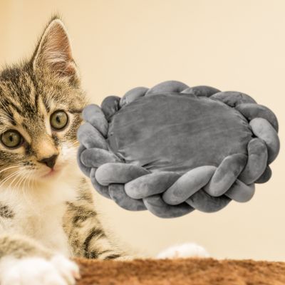 couffin-pour-chat-chat-regarde-couleur-gris