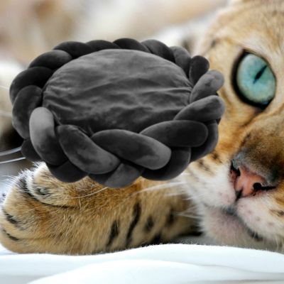 couffin-pour-chat-chat-regarde-couleur-noir