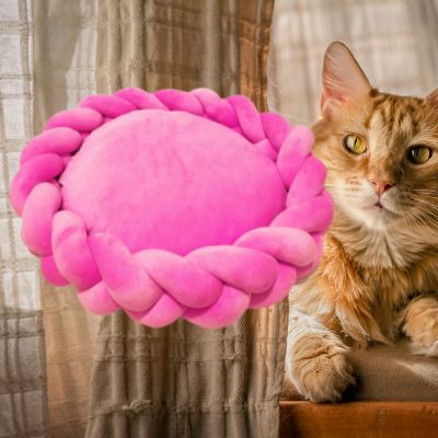 couffin-pour-chat-chat-regarde-couleur-rose