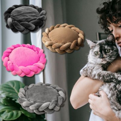 couffin-pour-chat-chat-regarde-presentation-couleurs