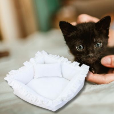 couffin-pour-chaton-couleur-blanc