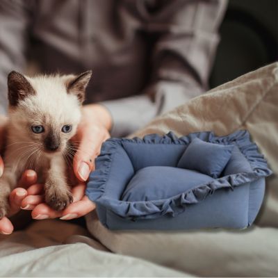 couffin-pour-chaton-couleur-gris