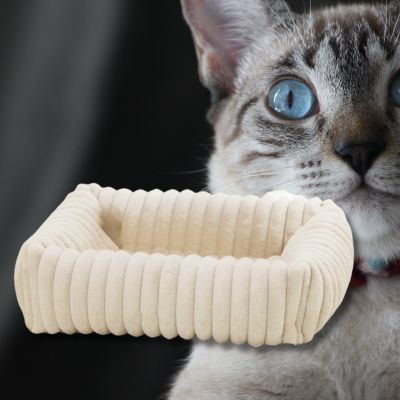 coussin-chat-blanc