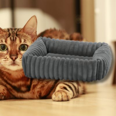 coussin-chat-gris-fonce