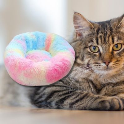 coussin-pour-chat-couleur-arc-en-ciel-chat-se-repose