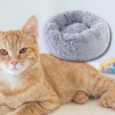 coussin-pour-chat-couleur-gris-un-chat-nous-regarde