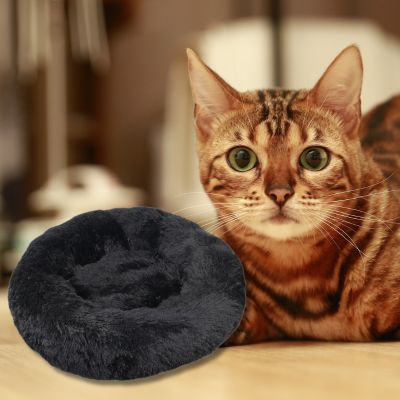 coussin-pour-chat-couleur-noir-un-chat-regarde