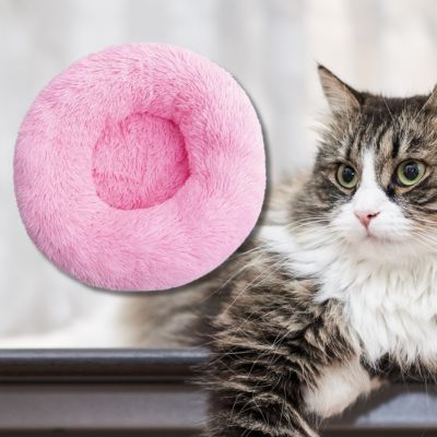 coussin-pour-chat-couleur-rose-une-chatte-regarde