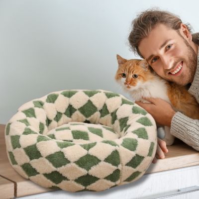 coussin-pour-chat-design-losange-vert-chat-qui-regarde