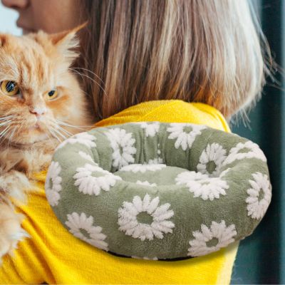 coussin-pour-chat-design-marguerite-chat-qui-regarde