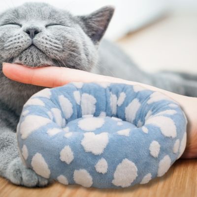 coussin-pour-chat-design-nuage-blanc-ciel-bleu-chat-caresse
