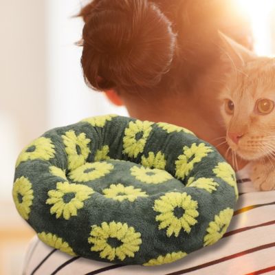 coussin-pour-chat-design-tournesol-chat-qui-regarde
