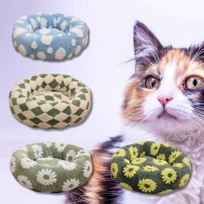 coussin-pour-chat-quatre-design-chat-qui-regarde