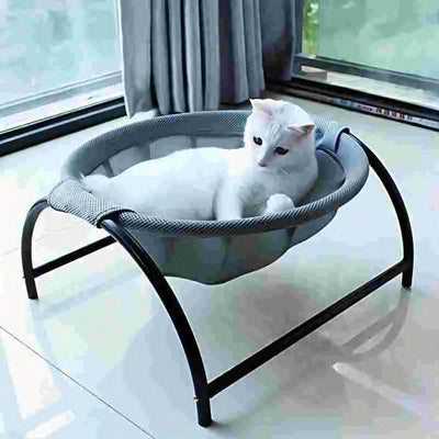 hamac-chat-tinouf-variante-gris