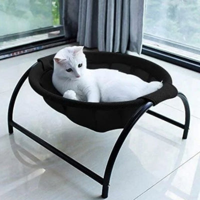hamac-chat-tinouf-variante-noir
