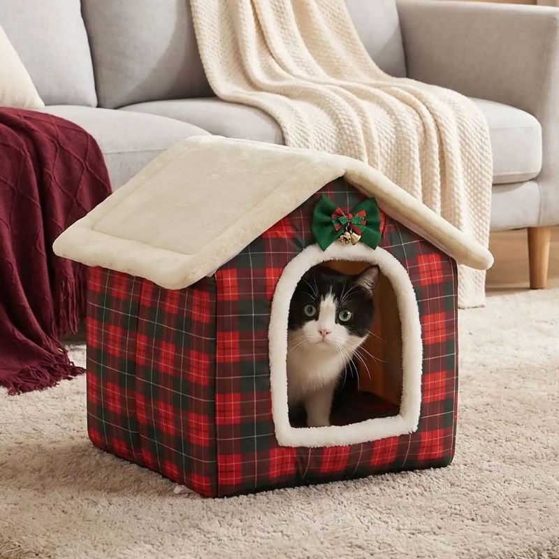 maison chat interieur eristo dans salon