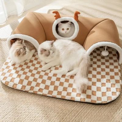 tapis-pour-chat-couleur-marron-chats-allonge-sur-tapis-et-dans-tunnel