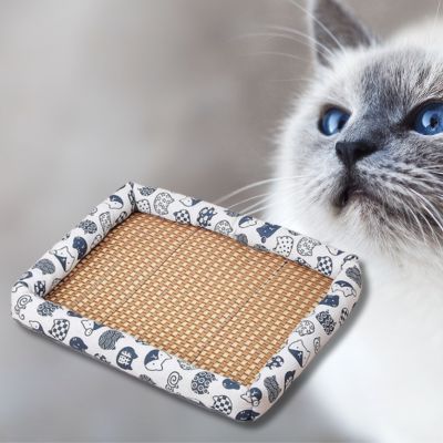 tapis-rafraichissant-chat-design-chat-chat-regarde