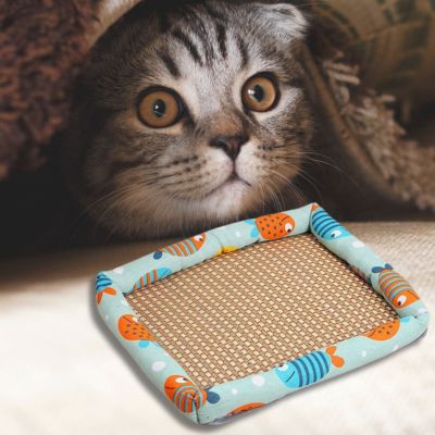 tapis-rafraichissant-chat-design-poisson-chat-regarde