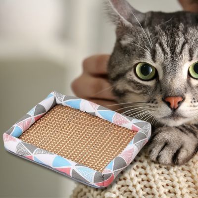 tapis-rafraichissant-chat-design-triangle-chat-regarde