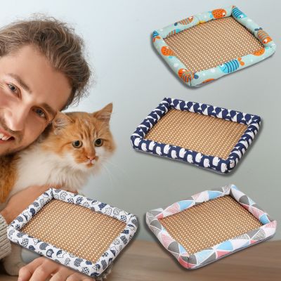 tapis-rafraichissant-chat-quatre-design-avec-chat-et-homme