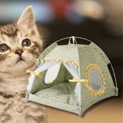 variante-de-tente-pour-chaton-vert-et-jaune
