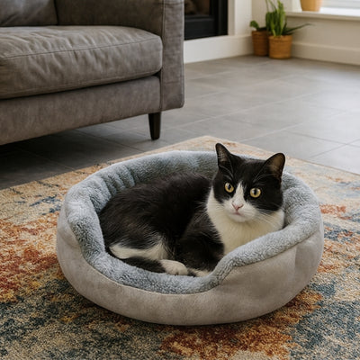 variante-gris-du-panier-pour-chat-ikaoz-chat-surveille