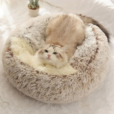 variante-niche-pour-chat-café-avec-chat-dessus