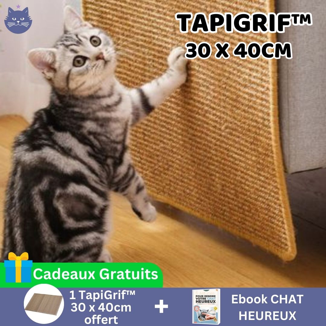 Luttez contre les griffures | TapiGrif™