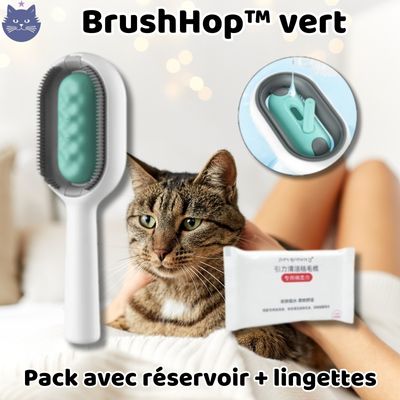 Brosse Magique | BrushHop™