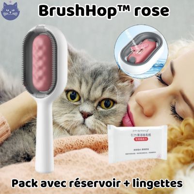 Brosse Magique | BrushHop™