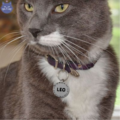 Médaillon personnalisé | LoveMyCat™