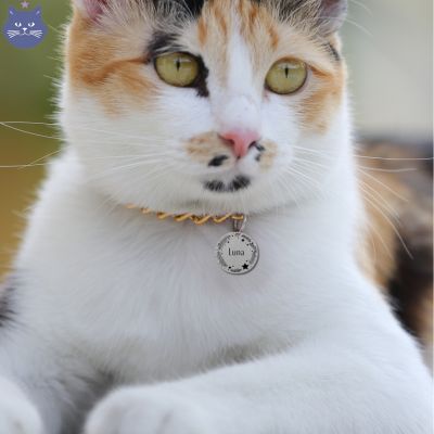 Médaillon personnalisé | LoveMyCat™