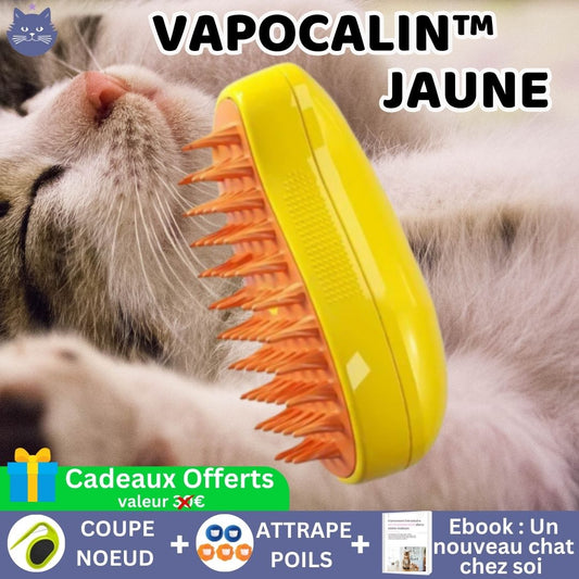 Brosse Vapeur Relaxante | VapoCalin™