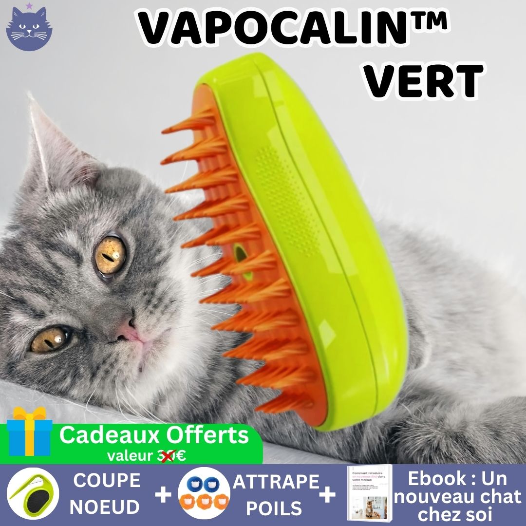 Brosse Vapeur Relaxante | VapoCalin™