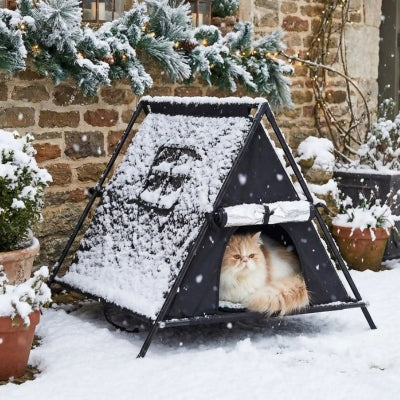 abri chat exterieur tentix noir sous la neige