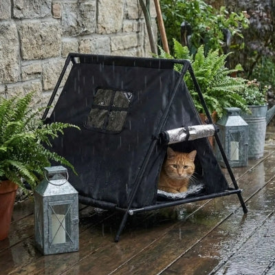 abri chat exterieur tentix noir sous la pluie