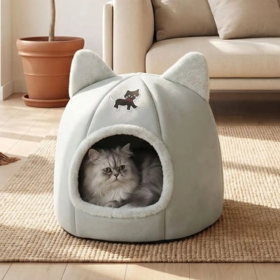 abri chaton ticham gris avec chat
