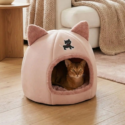 abri chaton ticham rose avec chat