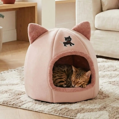 abri chaton ticham rose