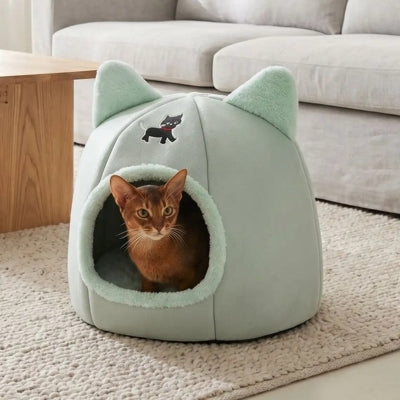 abri chaton ticham vert