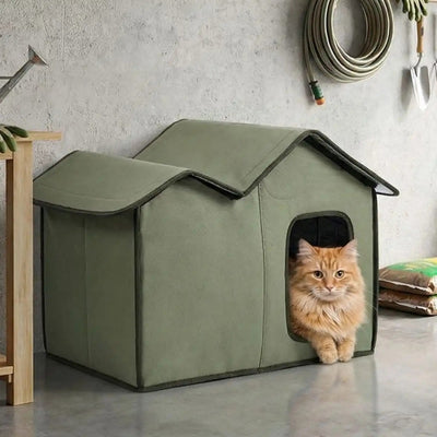 abri exterieur chat tourouf dans garage