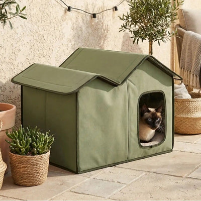 abri exterieur chat tourouf dans patio