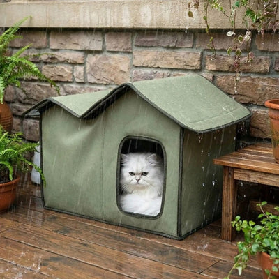 abri exterieur chat tourouf dehors
