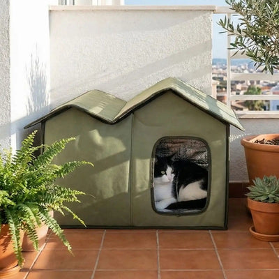 abri exterieur chat tourouf sur terrasse